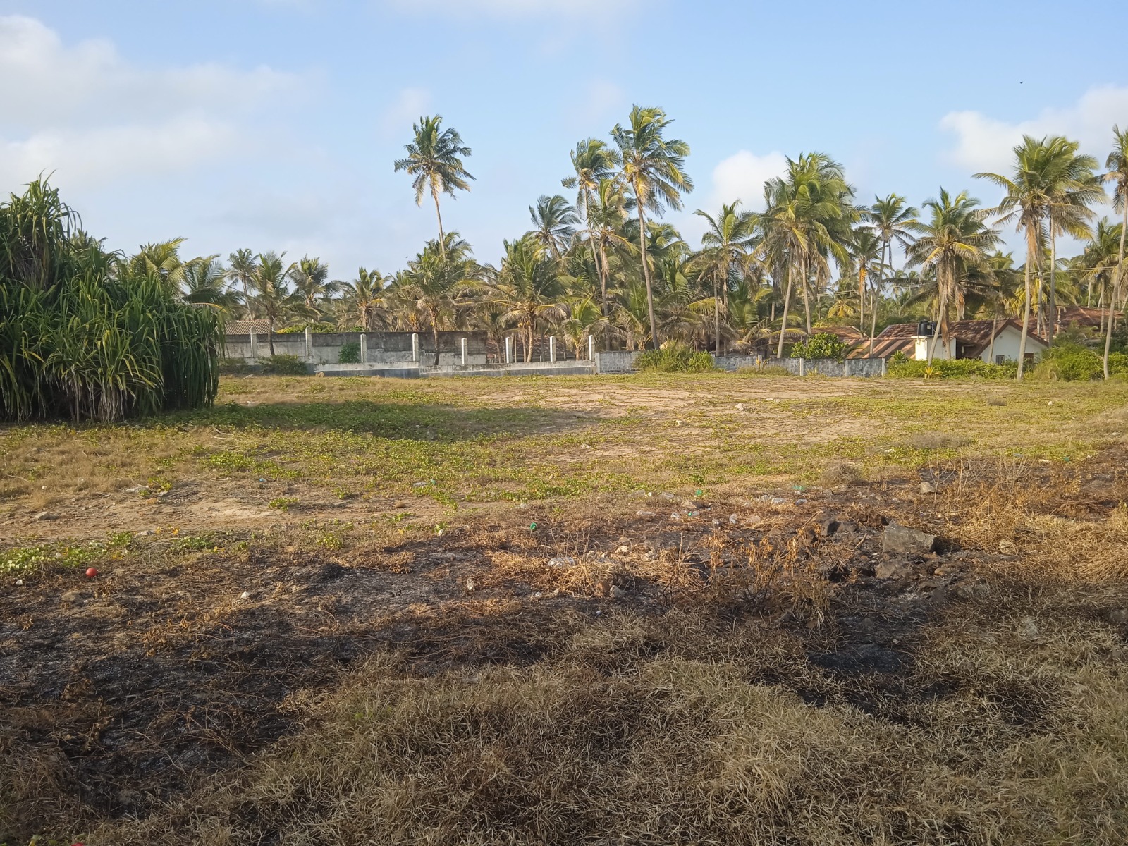 Beach Front Land in Negombo