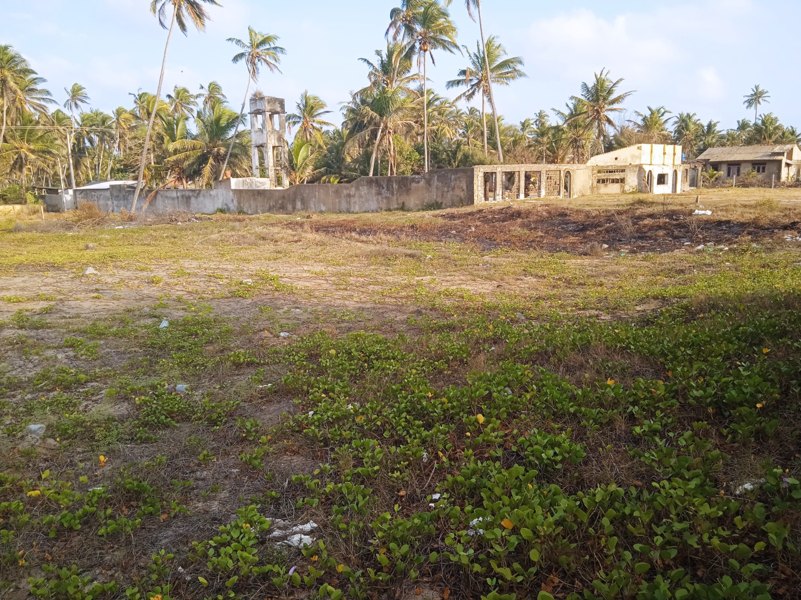Beach Front Land in Negombo