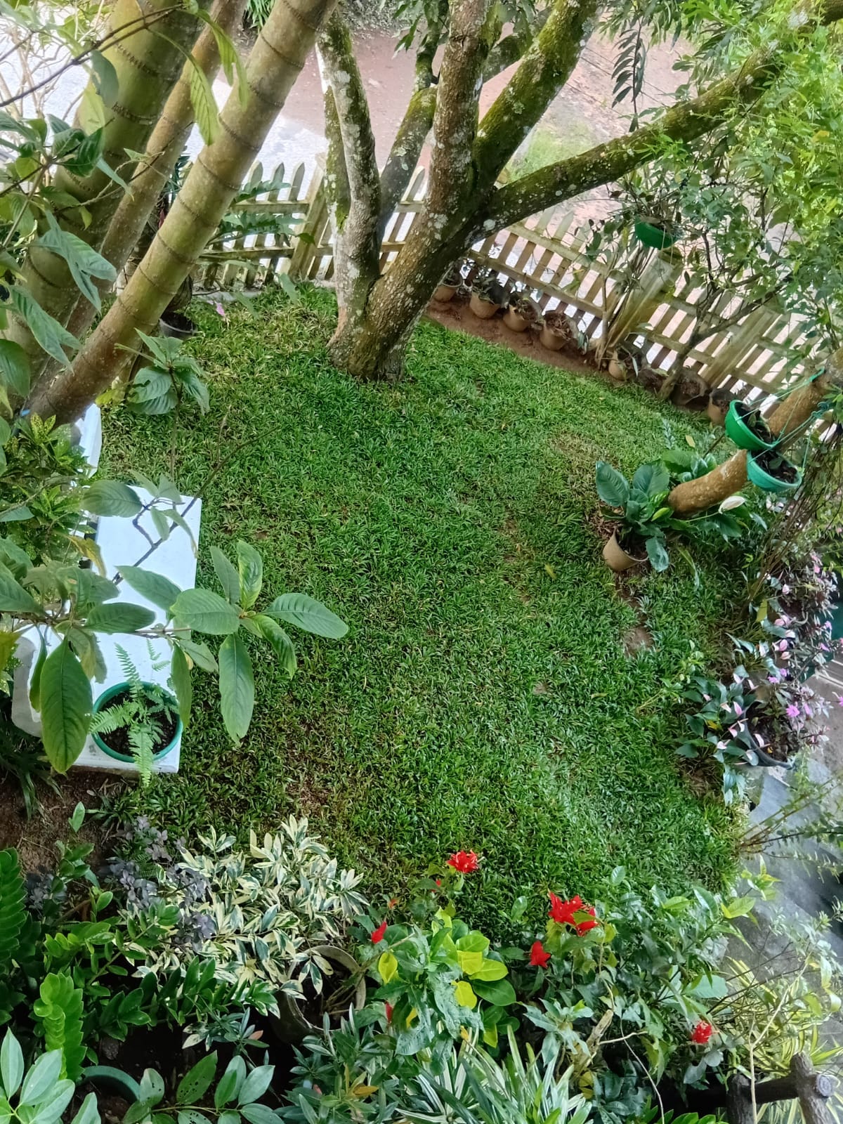 House for Sale – Waligalla