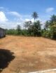 Valubale Land for sale Wadduwa