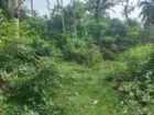 Land for Sale Horana