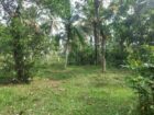 Land for Sale Horana