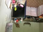 House for Sale -Panadura