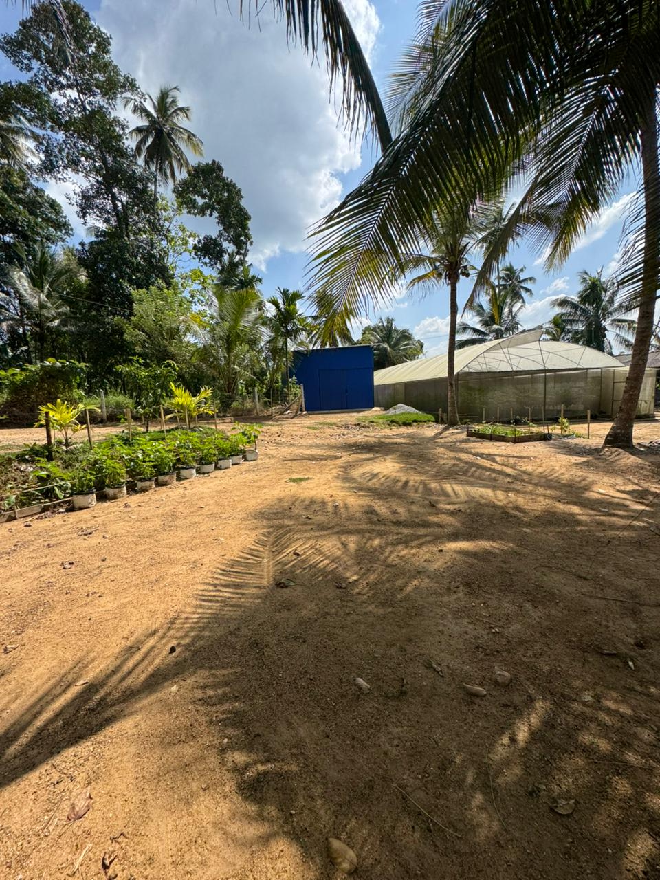 Land Sale in Rambukkana