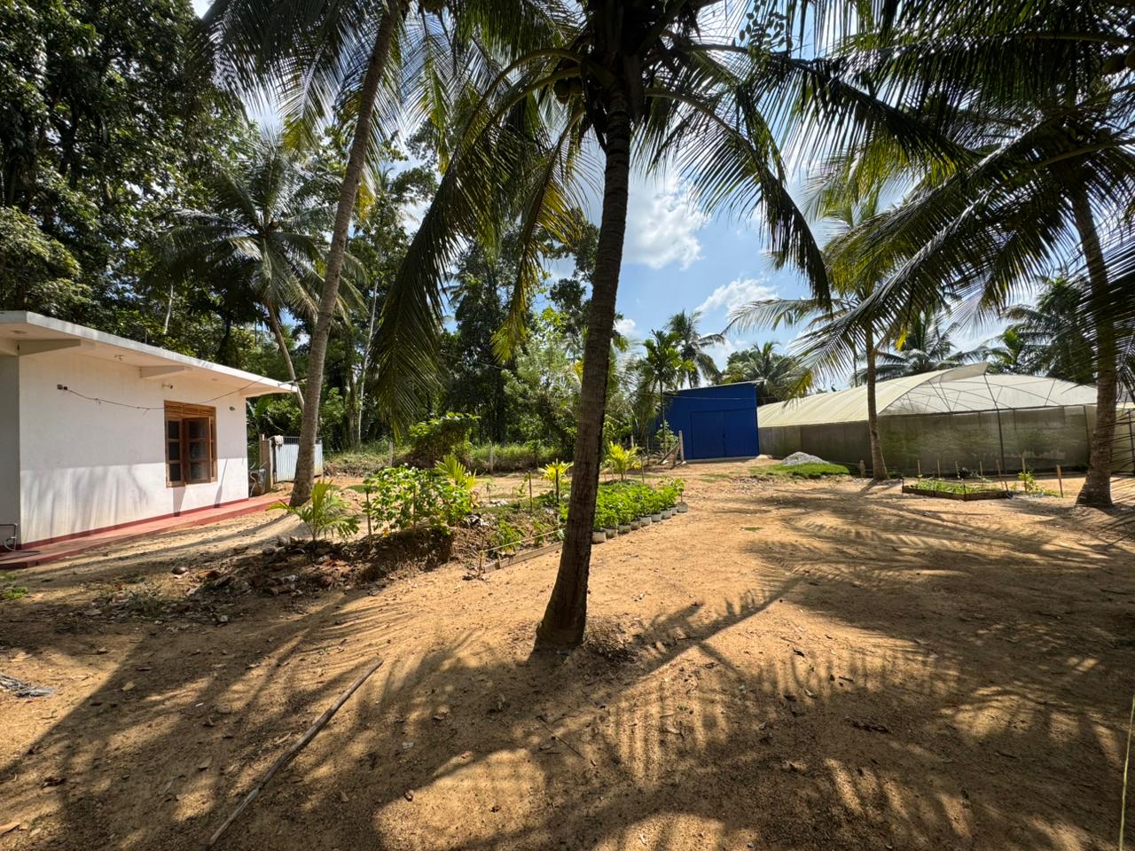 Land Sale in Rambukkana