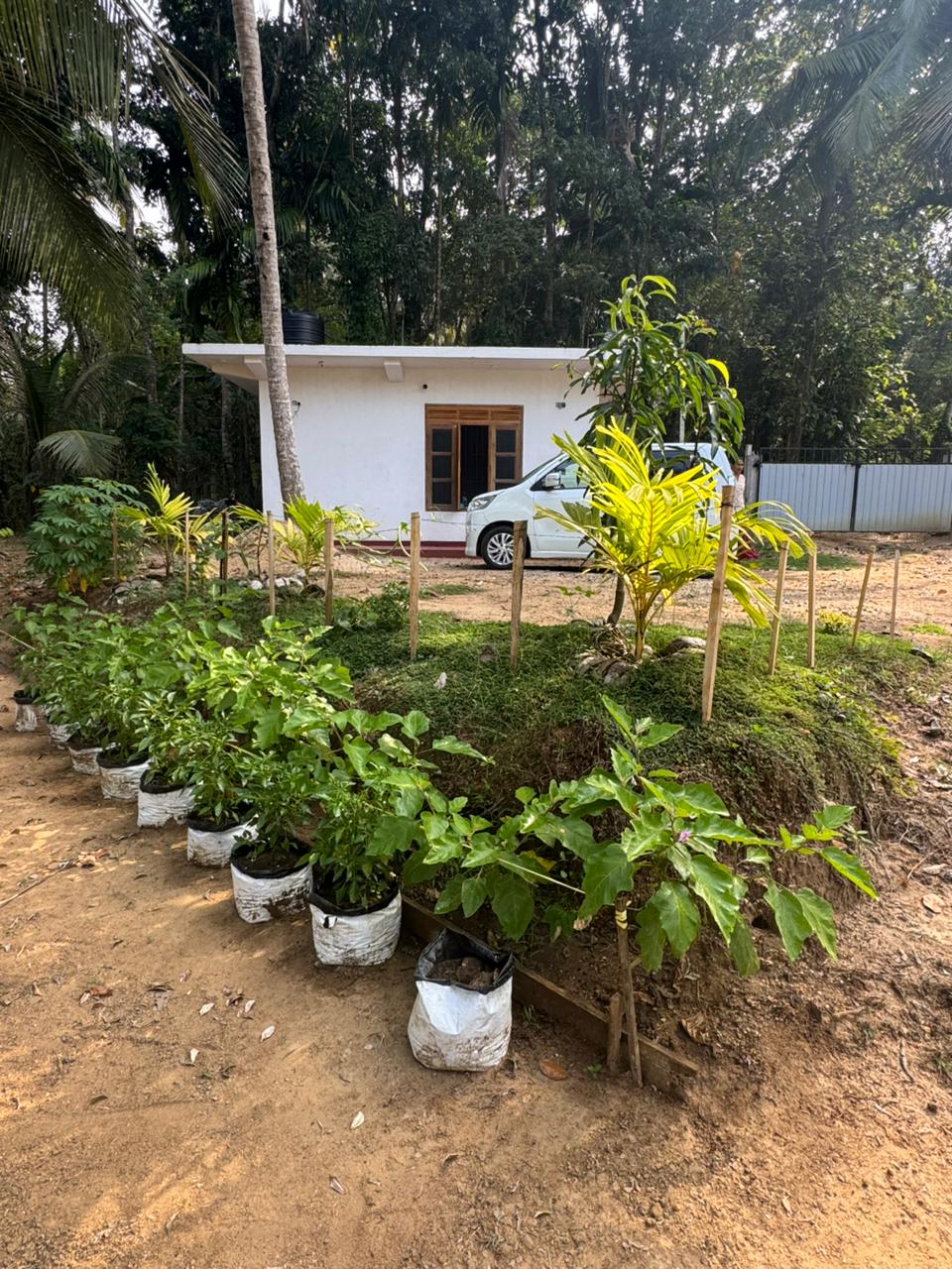 Land Sale in Rambukkana