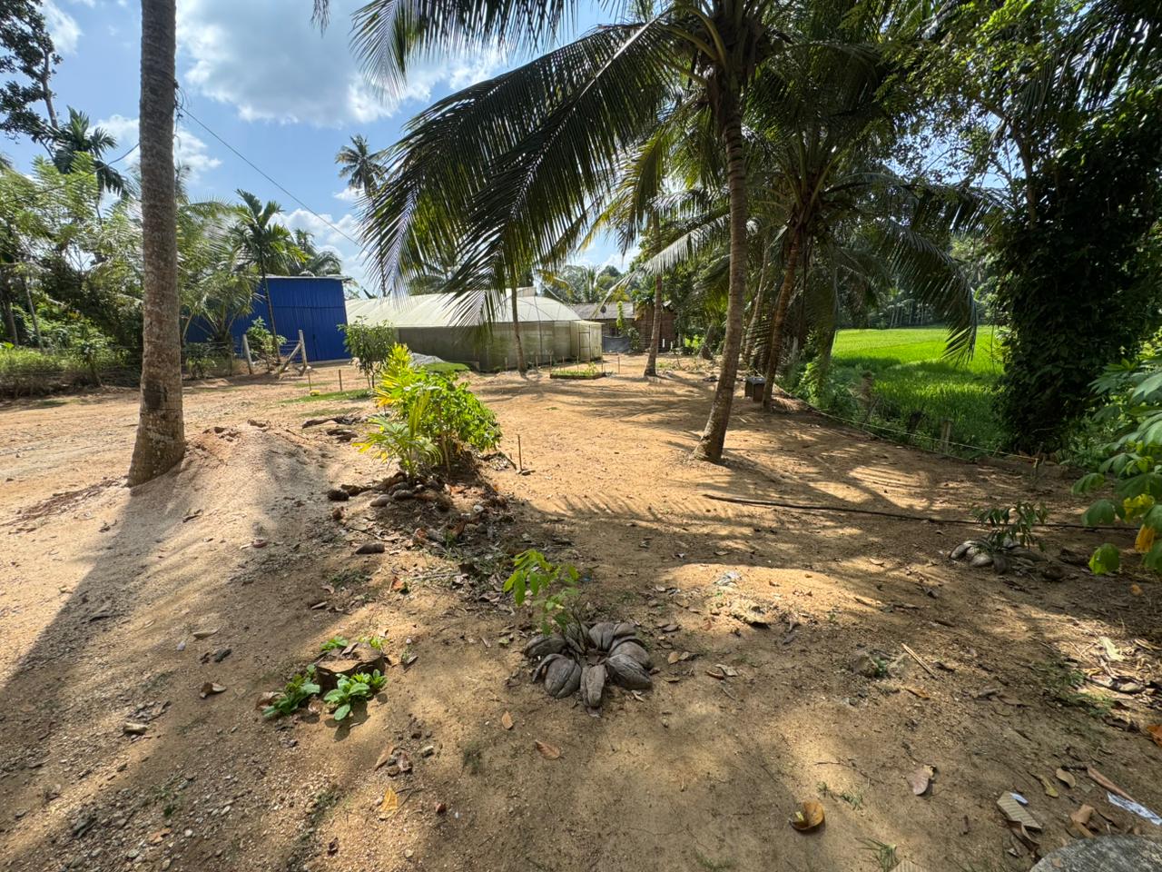 Land Sale in Rambukkana