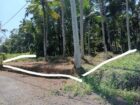 Land For Sale In Divulapitiya