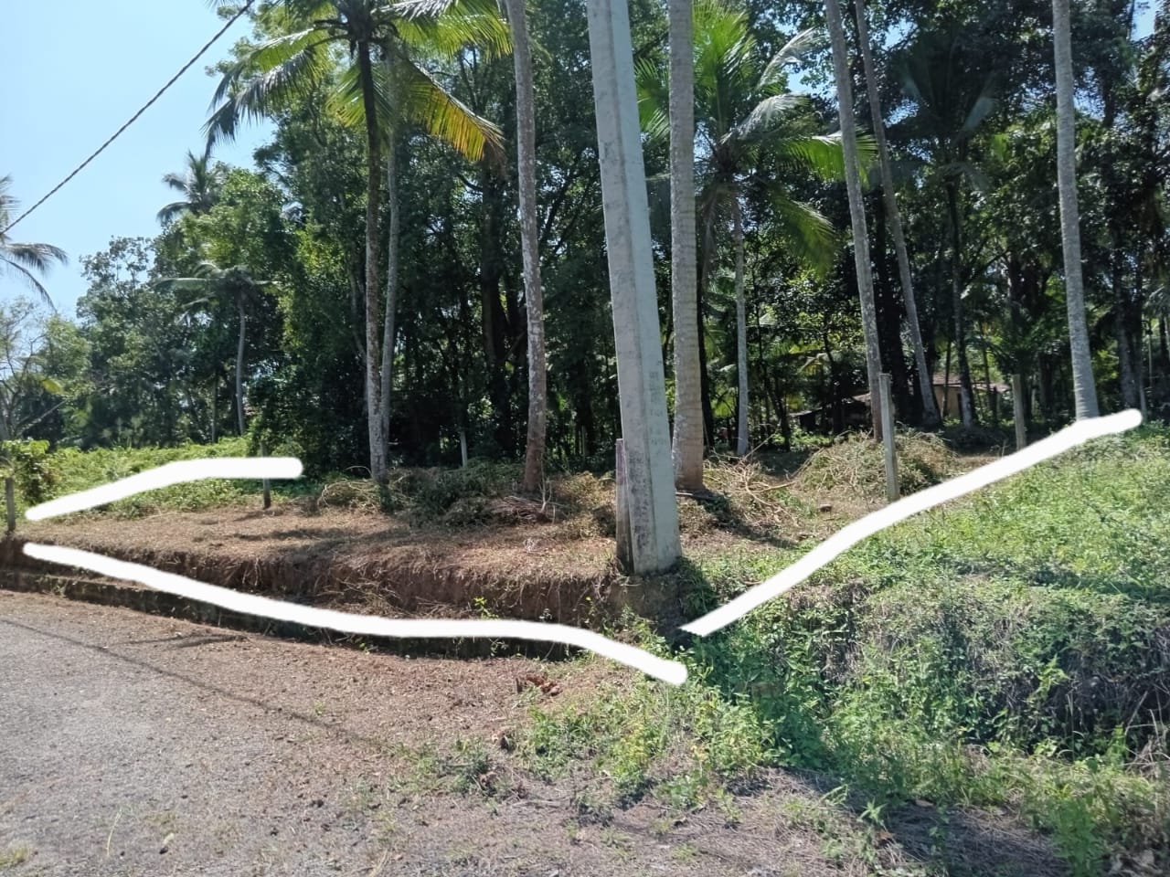 Land For Sale In Divulapitiya
