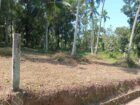 Land For Sale In Divulapitiya