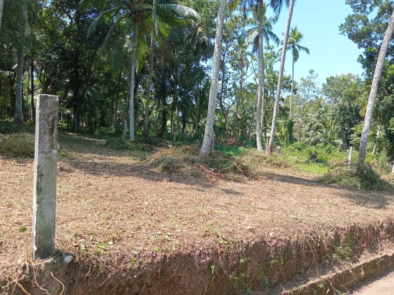 Land For Sale In Divulapitiya