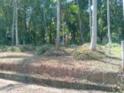 Land For Sale In Divulapitiya