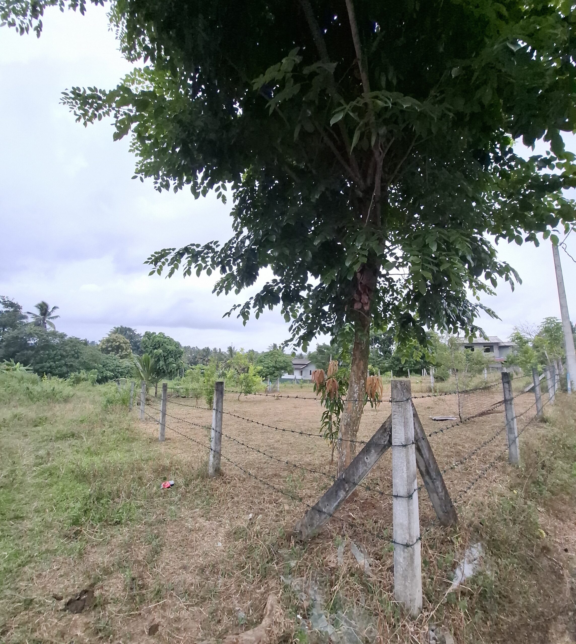 Land for Sale – Panadura