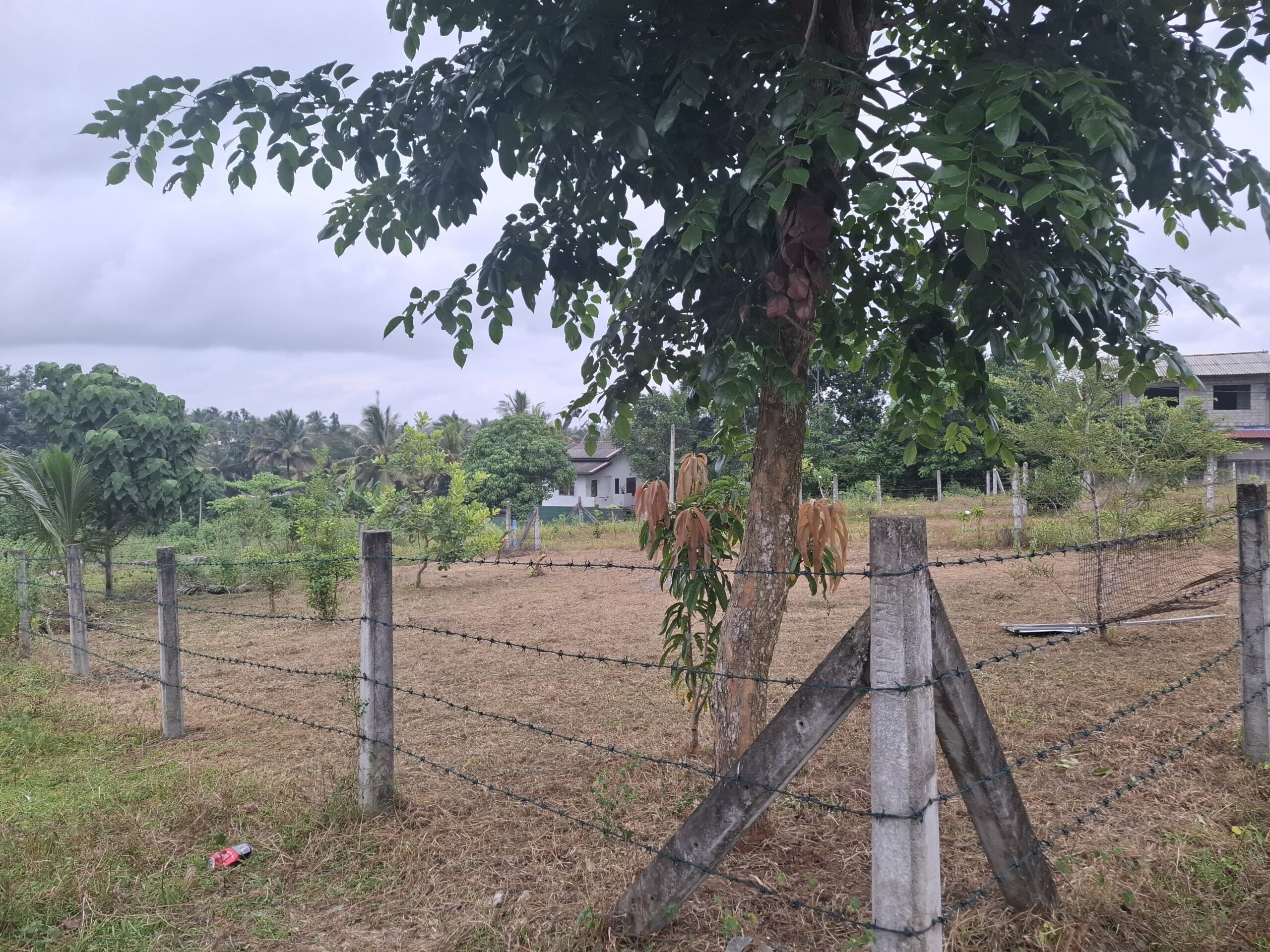Land for Sale – Panadura