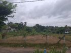 Land for Sale – Panadura