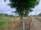 Land for Sale – Panadura