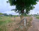 Land for Sale – Panadura