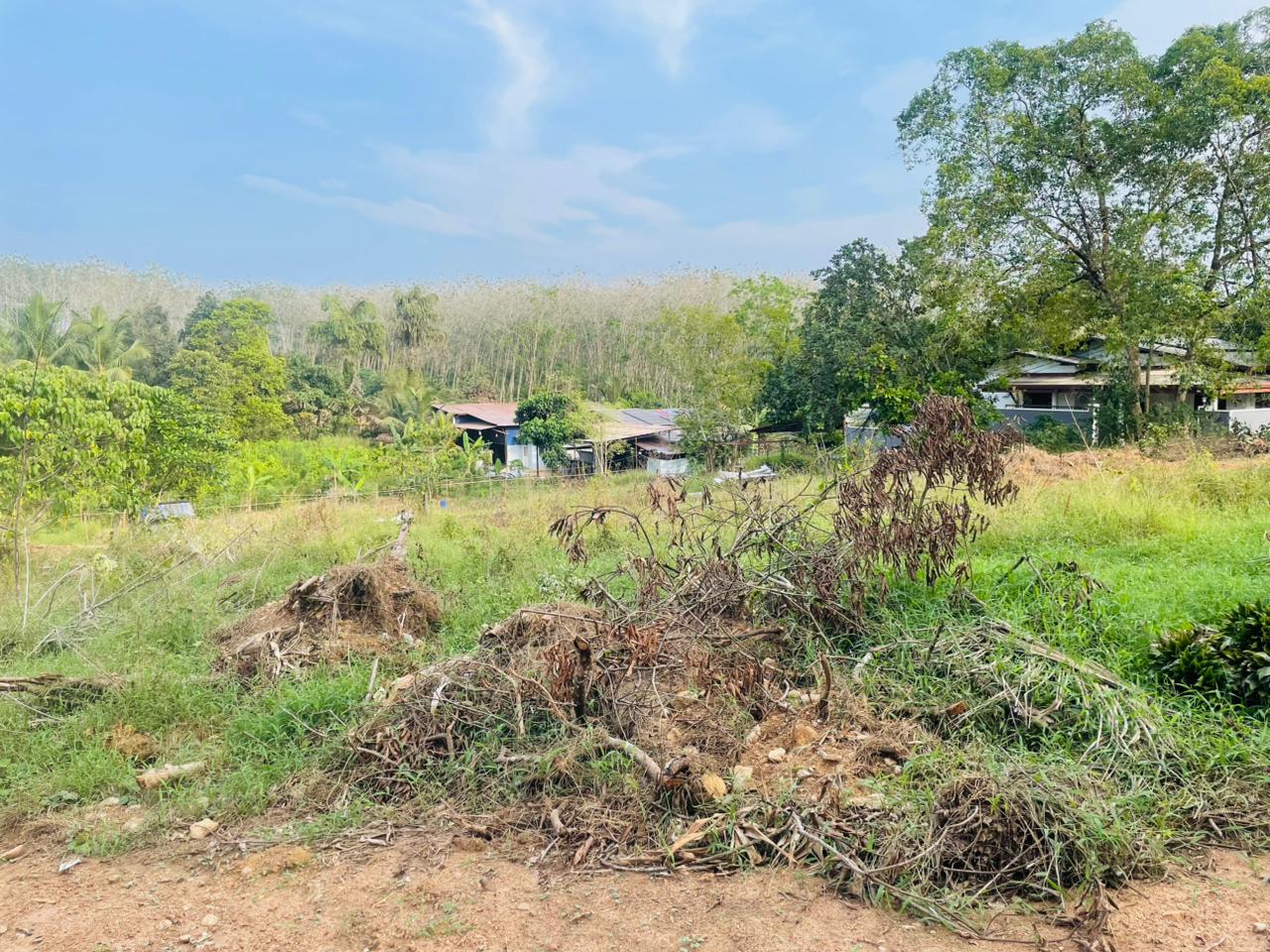 Land for Sale Artigala