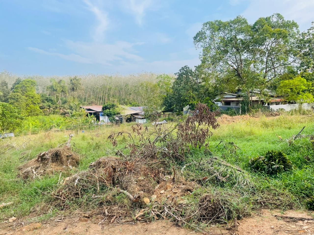 Land for Sale Artigala