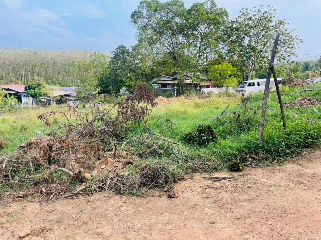 Land for Sale Artigala