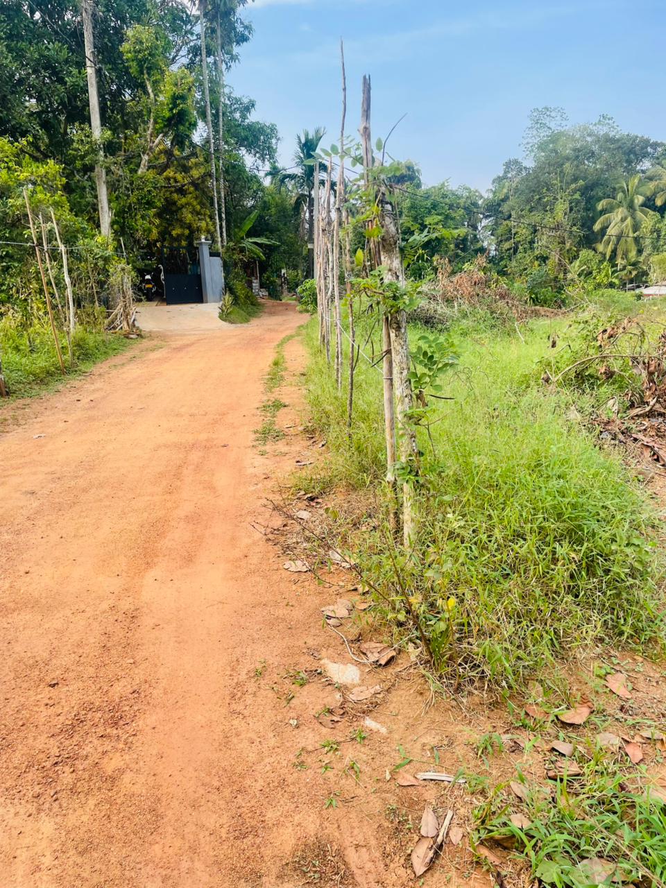 Land for Sale Artigala