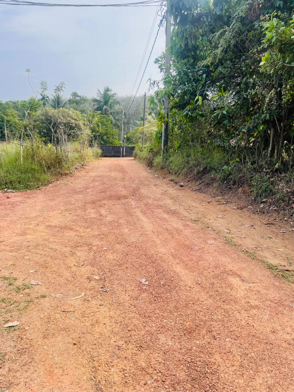 Land for Sale Artigala