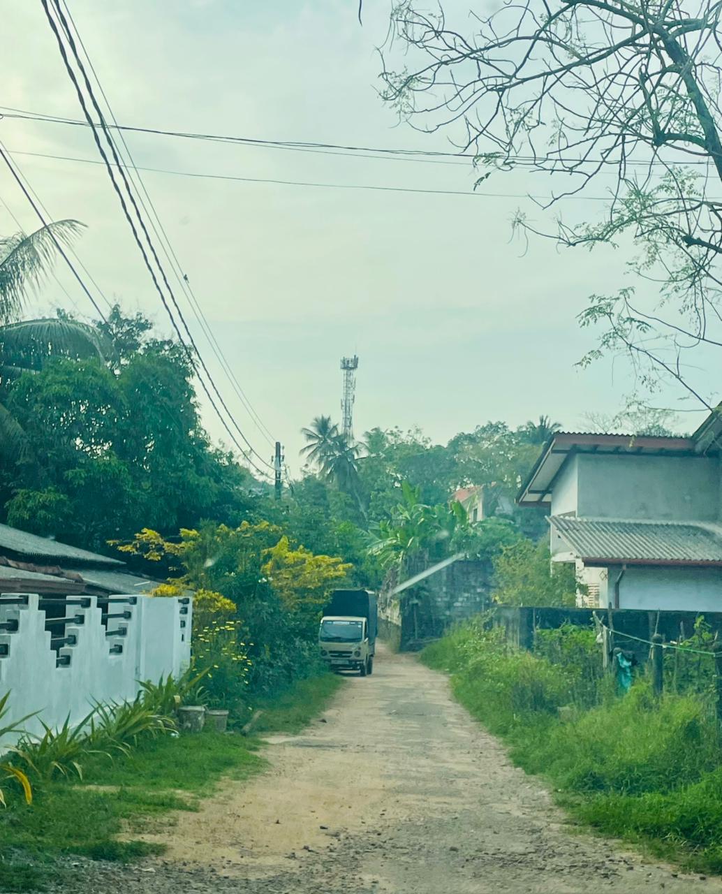 Land for Sale Artigala