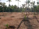 Athuruwalla Land for Sale