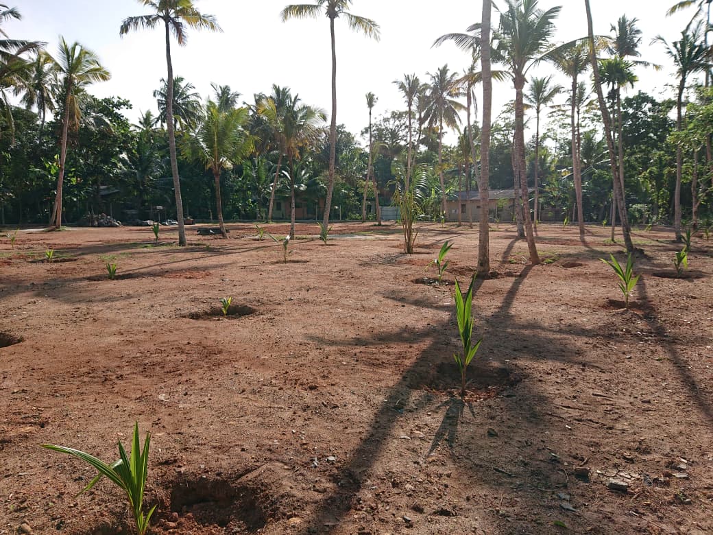 Athuruwalla Land for Sale