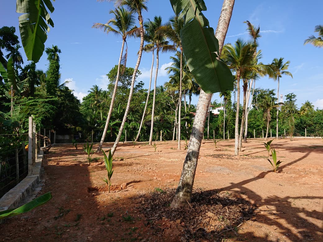Athuruwalla Land for Sale