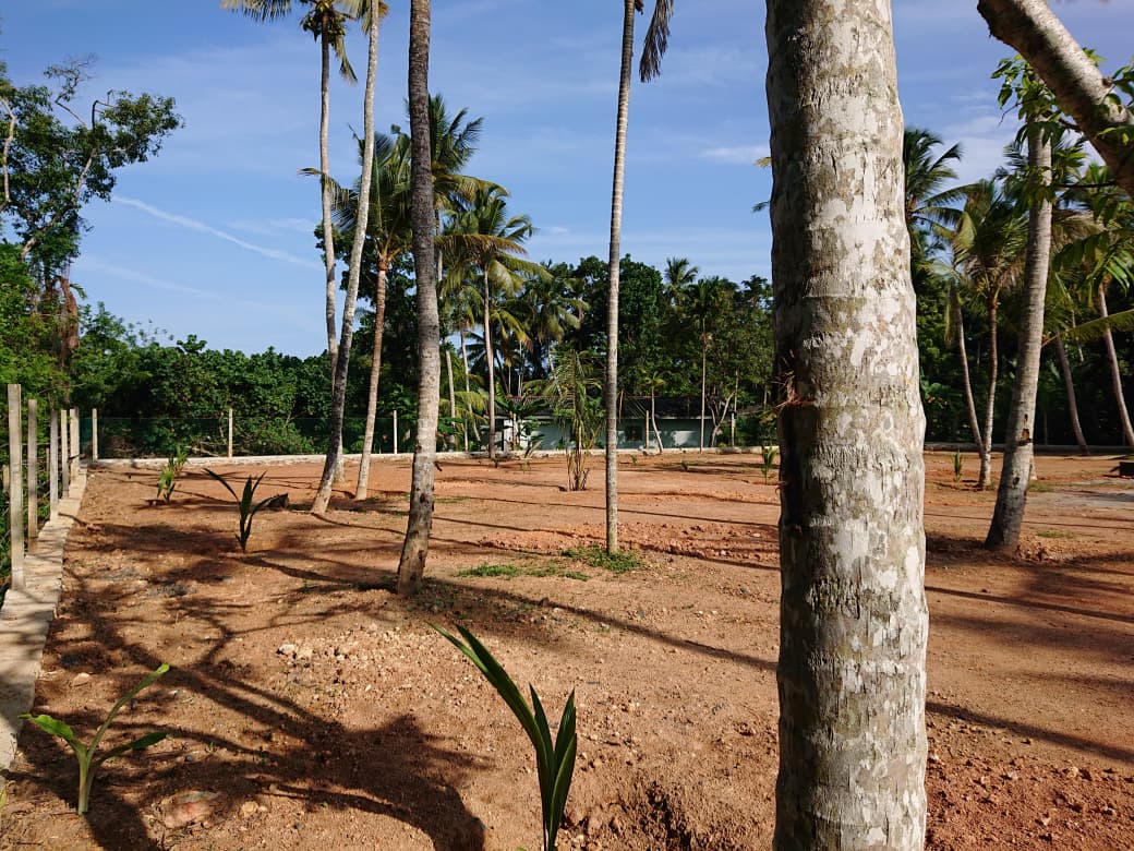 Athuruwalla Land for Sale