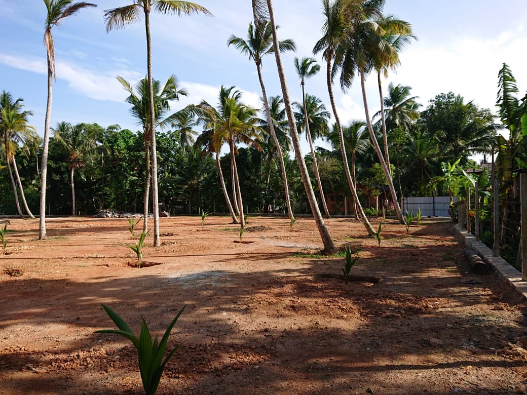 Athuruwalla Land for Sale