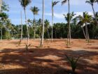 Athuruwalla Land for Sale