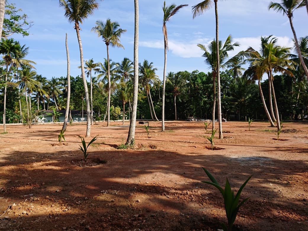 Athuruwalla Land for Sale