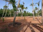 Athuruwalla Land for Sale