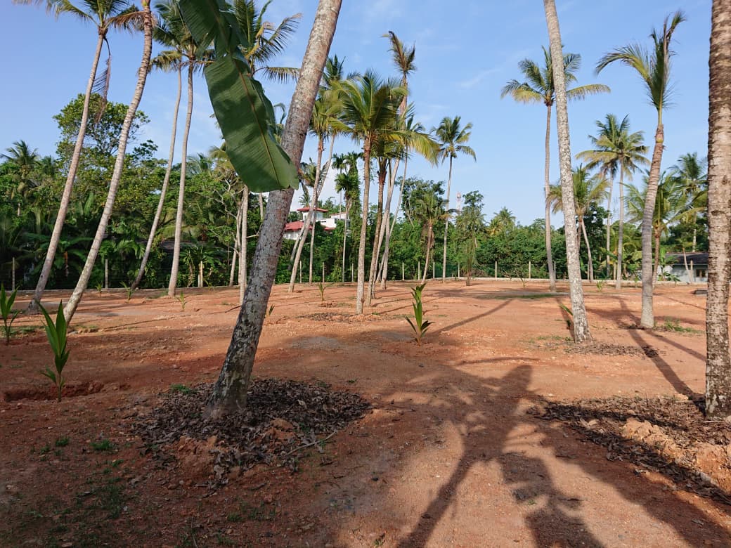 Athuruwalla Land for Sale