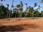 Athuruwalla Land for Sale