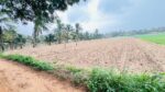 Land for Sale in Puttalam