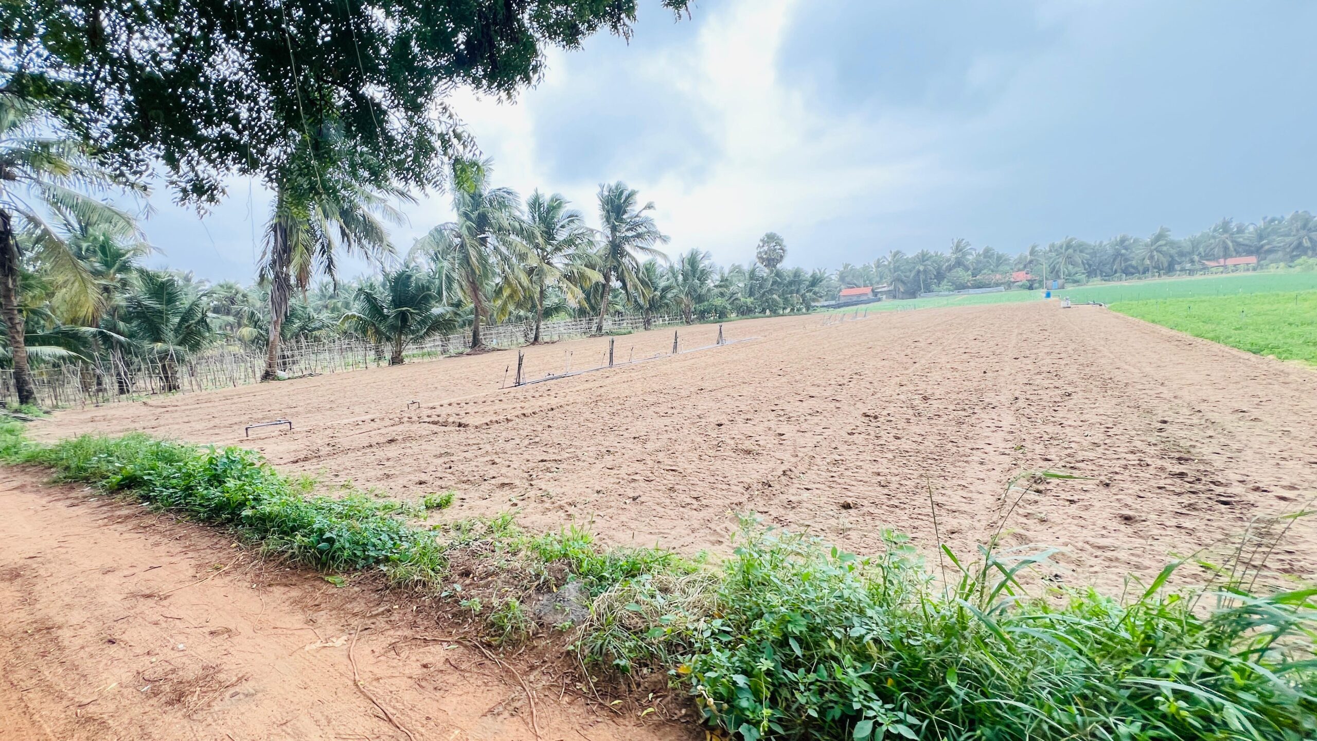 Land for Sale in Puttalam