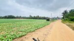 Land for Sale in Puttalam