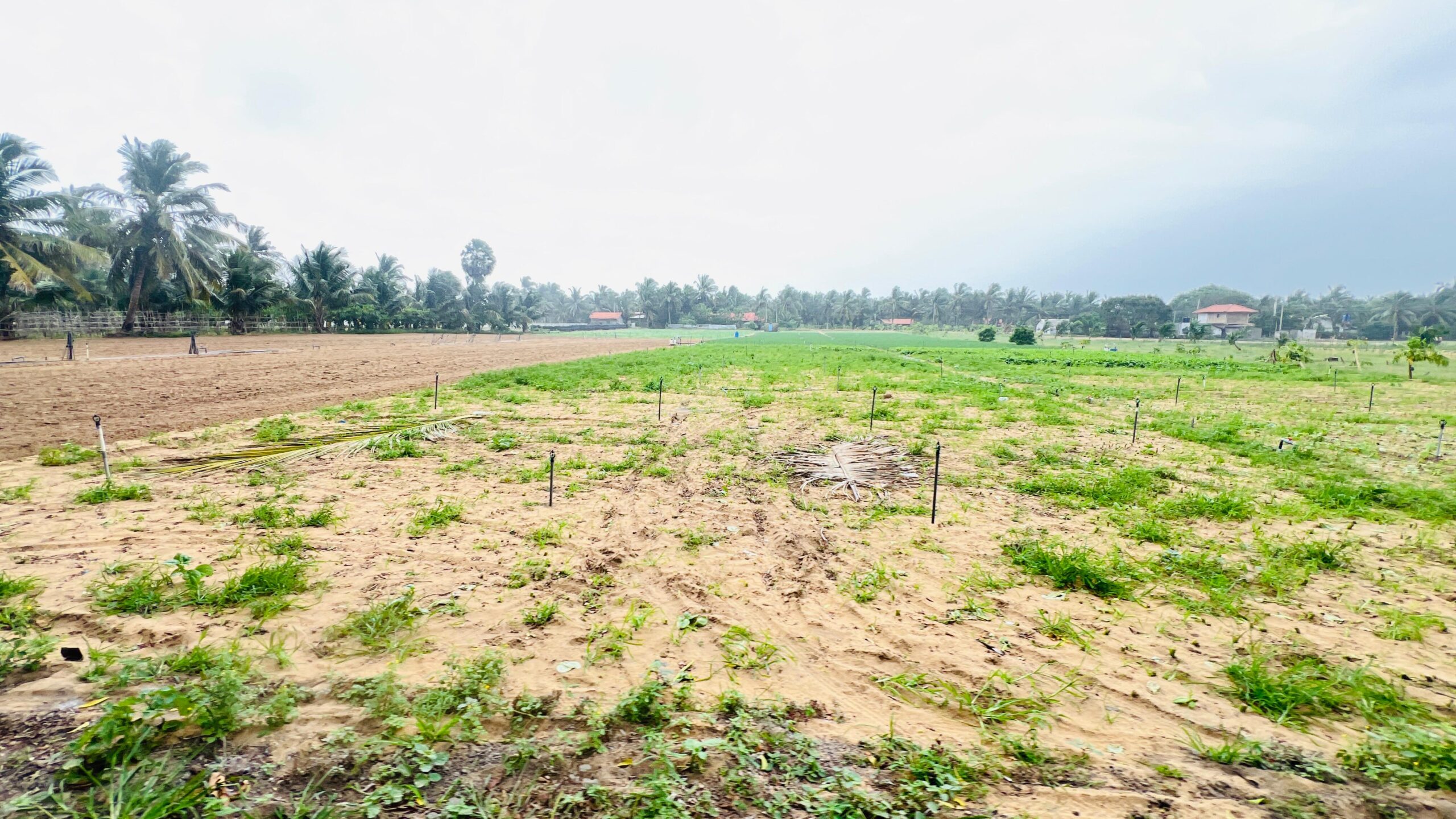 Land for Sale in Puttalam