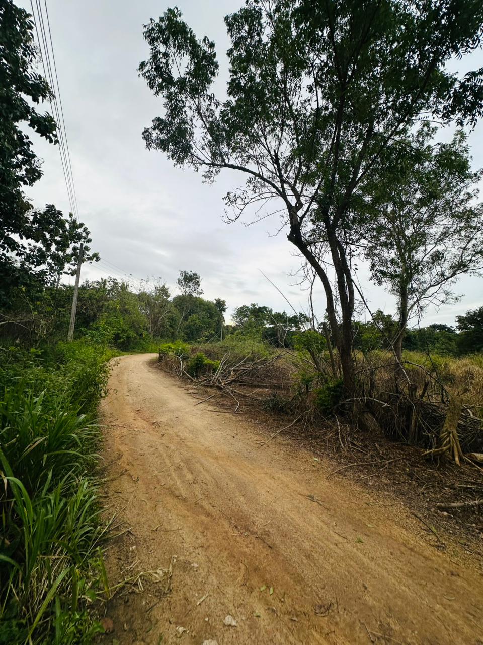 Medirigiriya අක්කර 03ක්‌ ඉඩමක් විකිනීමට