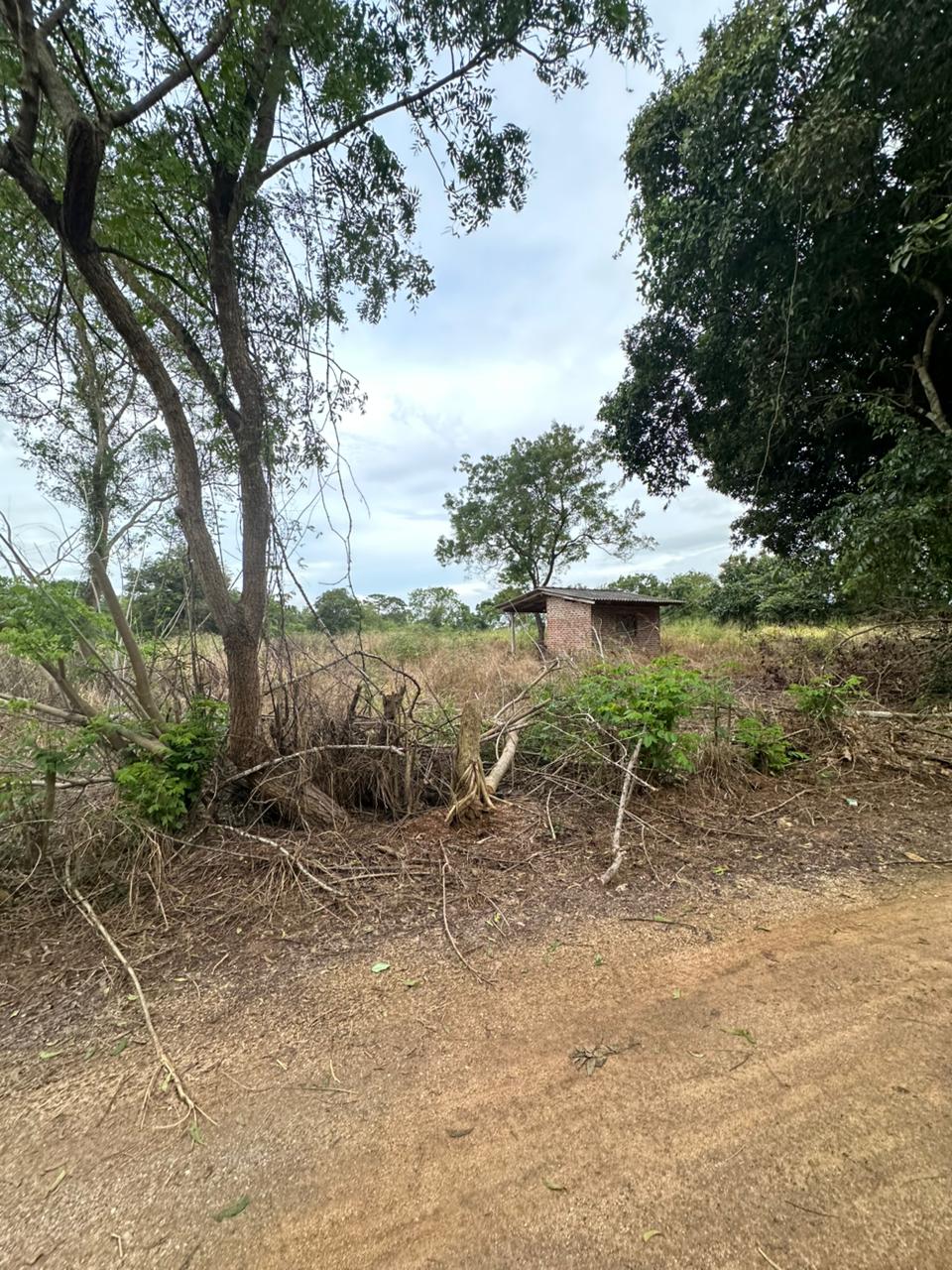 Medirigiriya අක්කර 03ක්‌ ඉඩමක් විකිනීමට