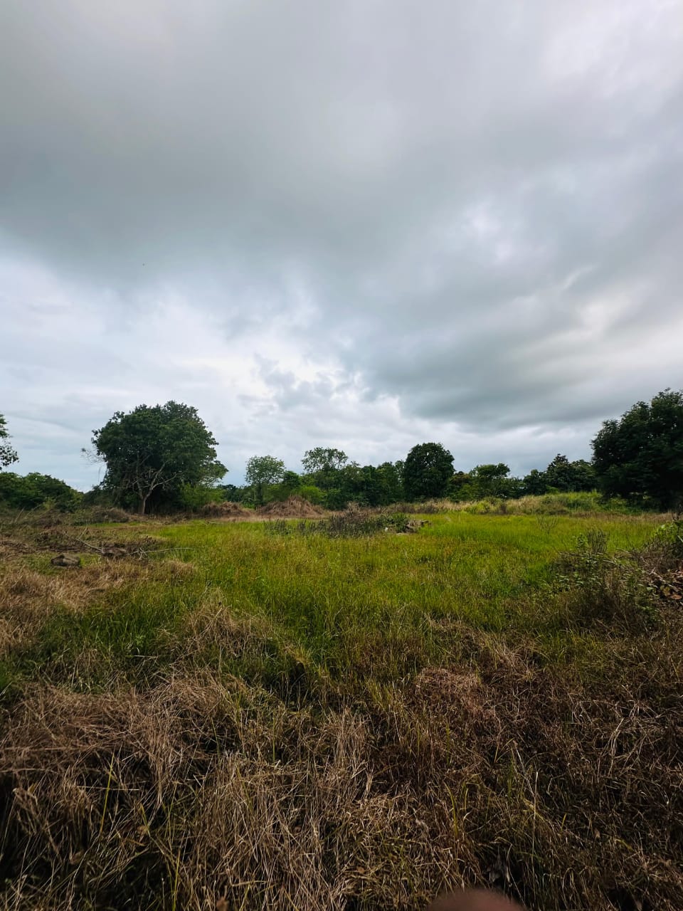 Medirigiriya අක්කර 03ක්‌ ඉඩමක් විකිනීමට