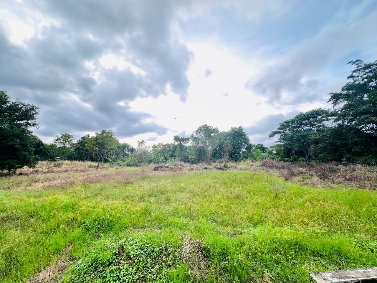 Medirigiriya අක්කර 03ක්‌ ඉඩමක් විකිනීමට