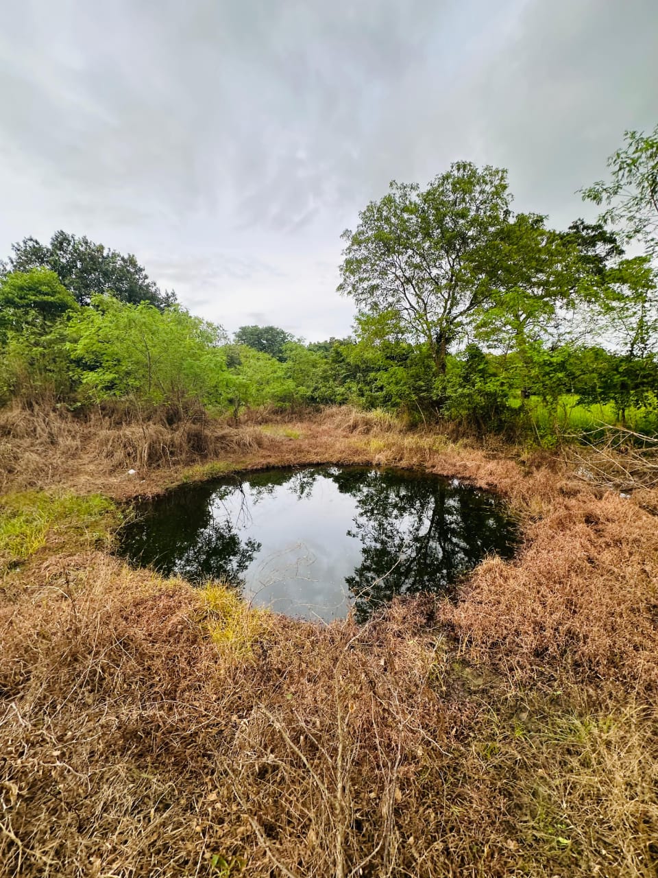 Medirigiriya අක්කර 03ක්‌ ඉඩමක් විකිනීමට