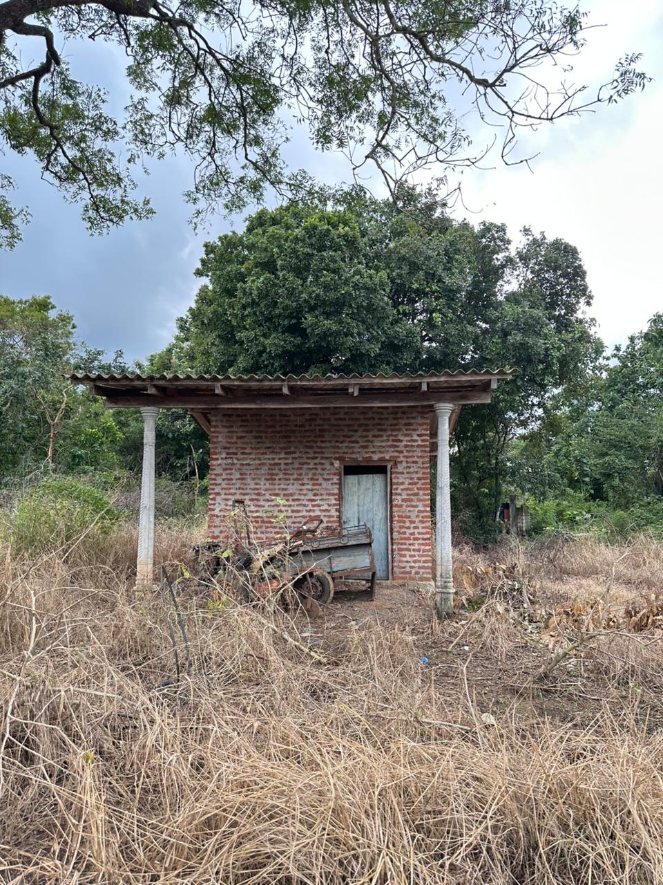 Medirigiriya අක්කර 03ක්‌ ඉඩමක් විකිනීමට