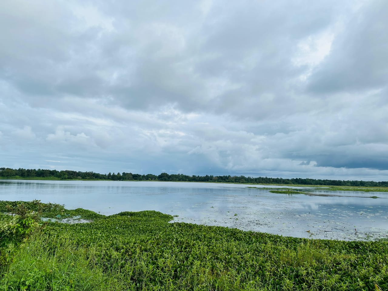 Medirigiriya අක්කර 03ක්‌ ඉඩමක් විකිනීමට