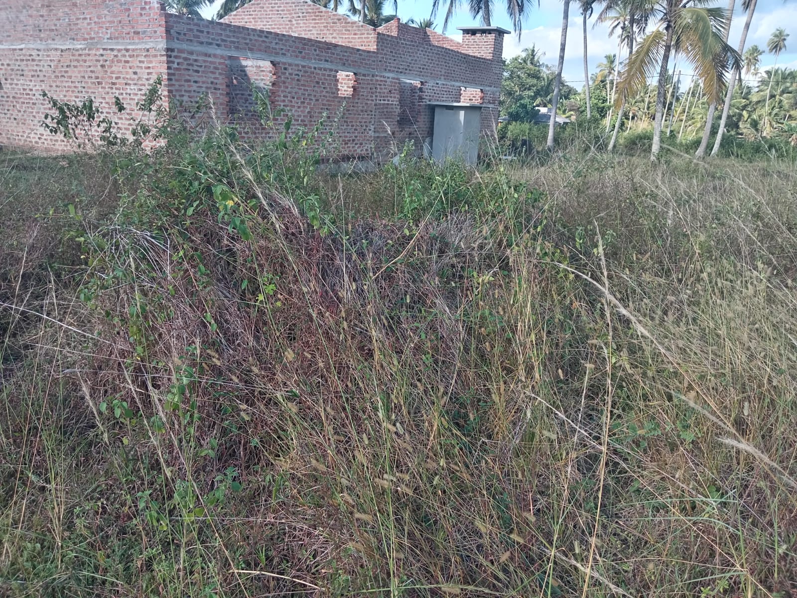 Flat Land Ideal for Build a House Kadahapola