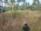 Flat Land Ideal for Build a House Kadahapola